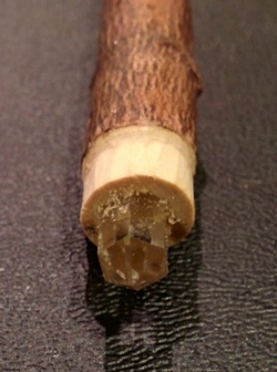 Photo of a Wand's End-Cap